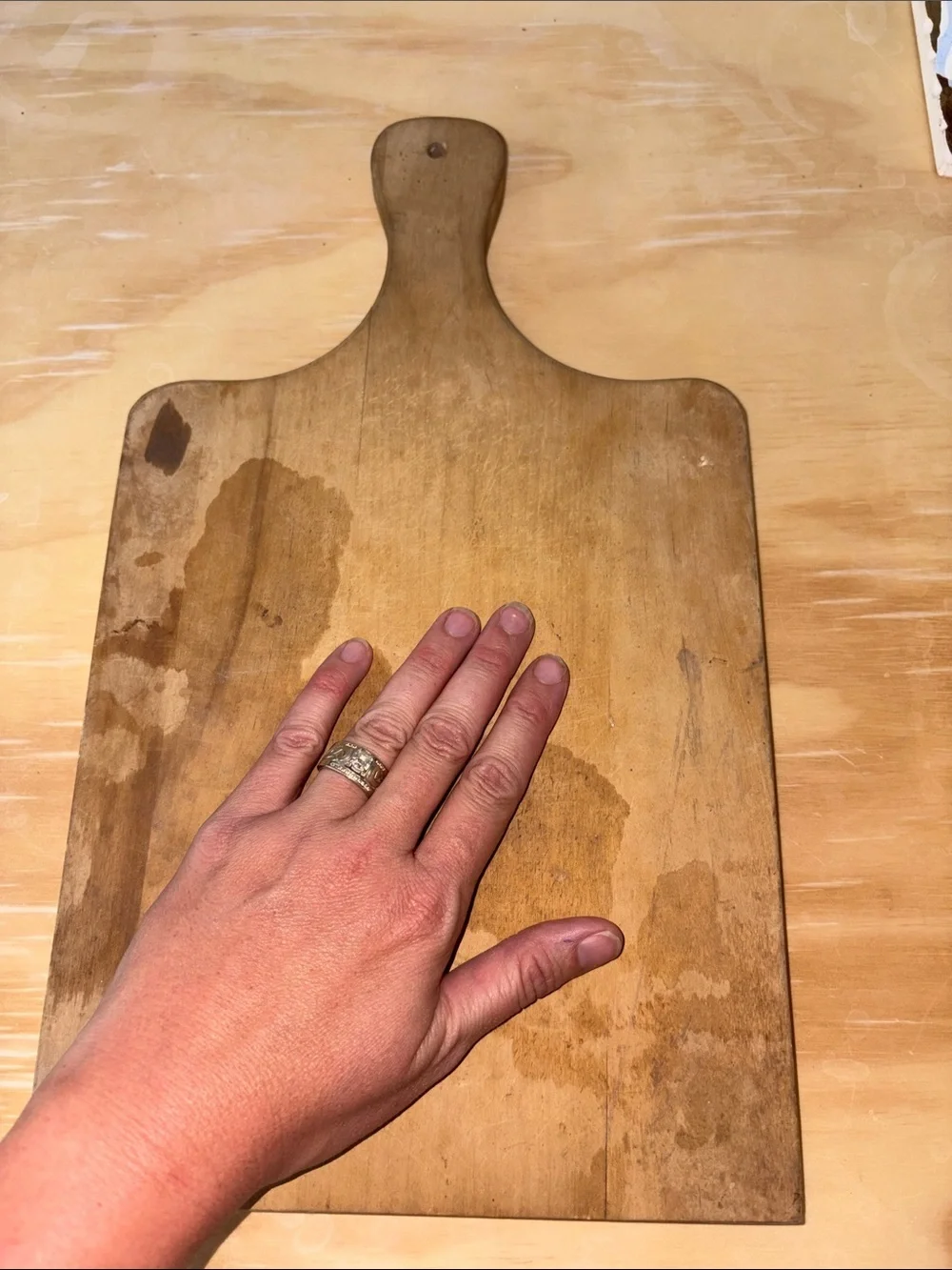 Wooden Decorative Cutting/Serving Board with Red Fruit Design